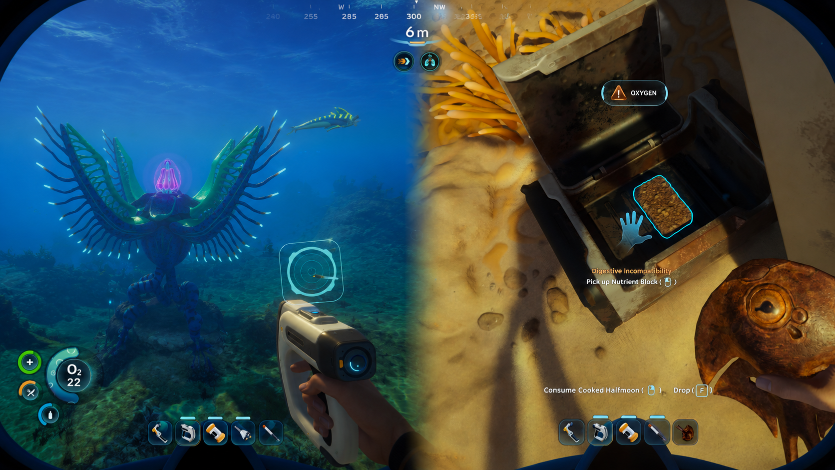 Subnautica 2 Ocean Life: Final Guide to Every Creature, Plant, and Animal